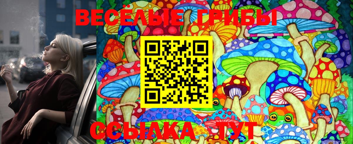 Псилоцибиновые грибы Psilocybine cubensis  Галлюциногенные грибы GOLDEN TEACHER  Отрадное  сколько стоит  Вход с VPN 