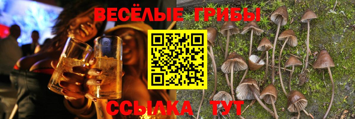 Галлюциногенные грибы Psilocybine cubensis Отрадное